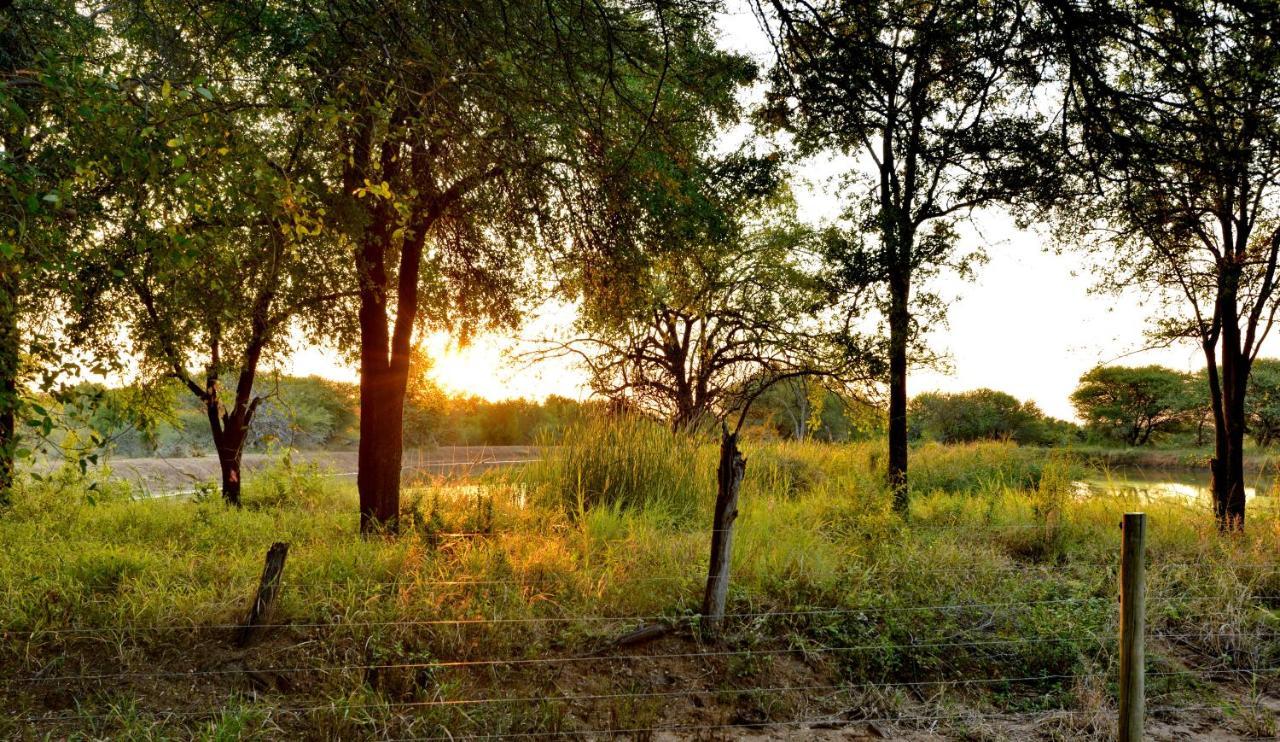 Black Rhino Game Lodge Pilanesberg Extérieur photo