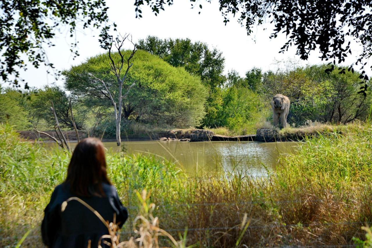 Black Rhino Game Lodge Pilanesberg Extérieur photo